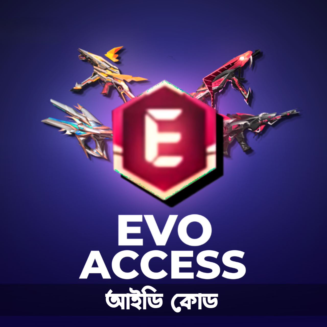 EVO ACCESS BD